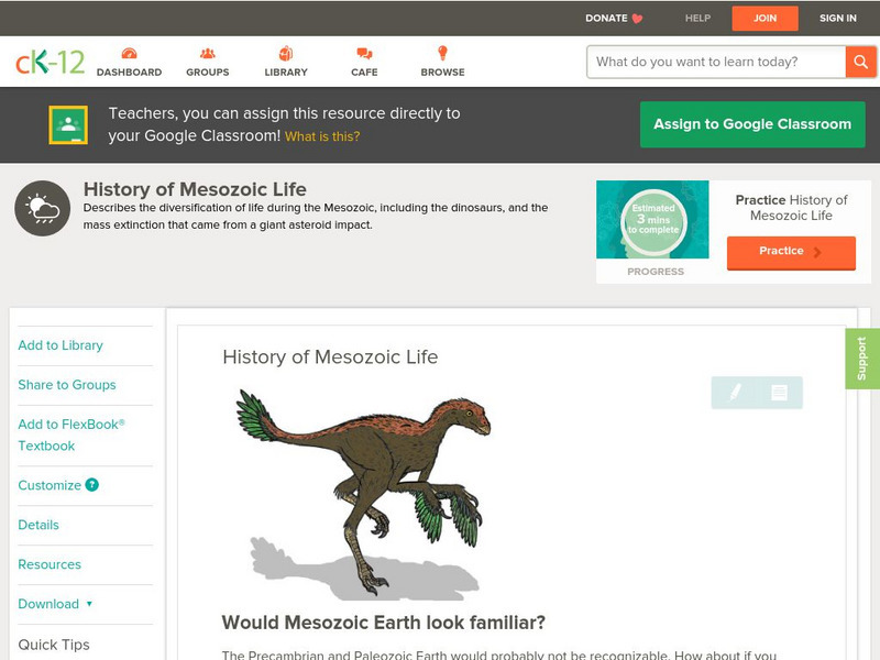 Ck 12: Earth Science: History of Mesozoic Life Unit Plan Ck 12: Earth Science: History of Mesozoic Life Unit Plan