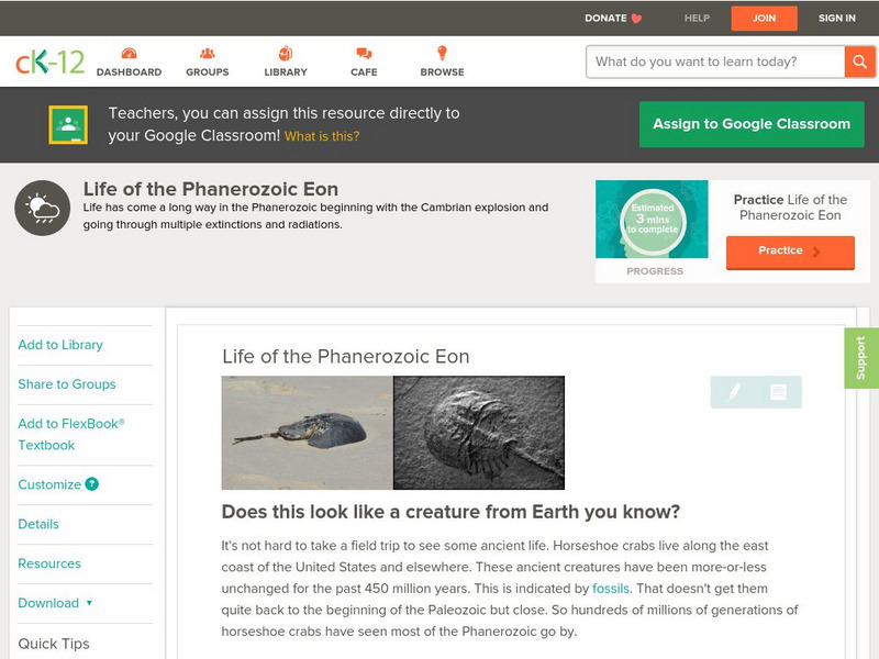 Ck 12: Earth Science: Life of the Phanerozoic Eon Unit Plan Ck 12: Earth Science: Life of the Phanerozoic Eon Unit Plan
