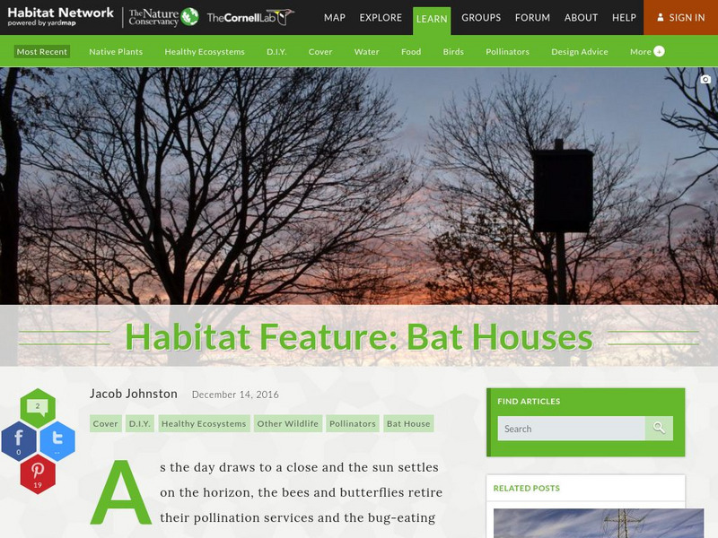 Habitat Network: Habitat Feature: Bat Houses Article Habitat Network: Habitat Feature: Bat Houses Article