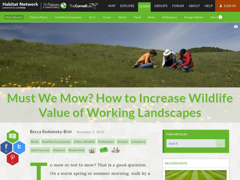 Habitat Network: Must We Mow? Increase Wildlife Value of Working Landscapes Article Habitat Network: Must We Mow? Increase Wildlife Value of Working Landscapes Article