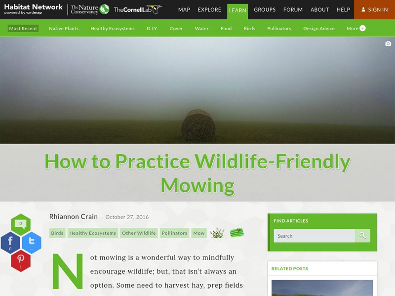 Habitat Network: How to Practice Wildlife Friendly Mowing Article Habitat Network: How to Practice Wildlife Friendly Mowing Article