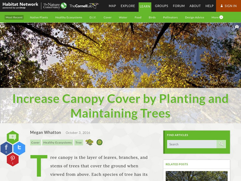 Habitat Network: Increase Canopy Cover by Planting and Maintaining Trees Article Habitat Network: Increase Canopy Cover by Planting and Maintaining Trees Article