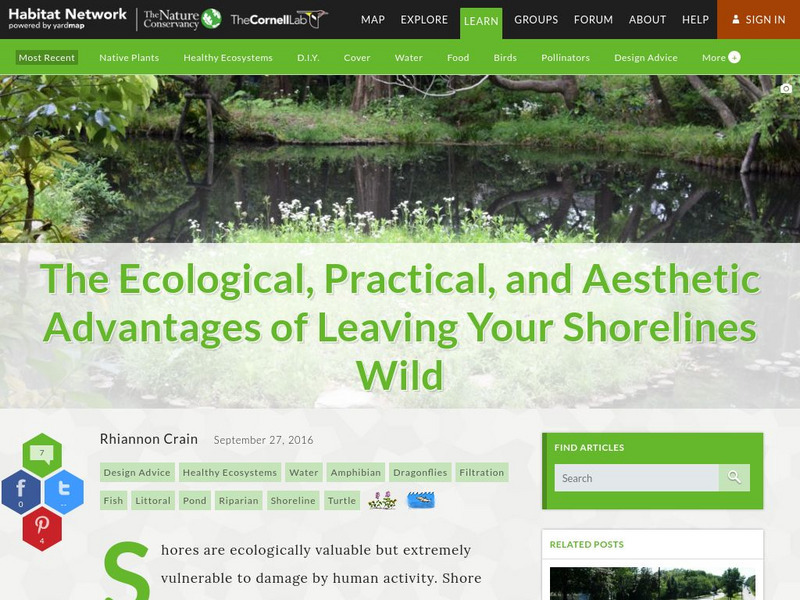 Habitat Network: Ecological, Practical, Aesthetic Advantages of Wild Shorelines Article Habitat Network: Ecological, Practical, Aesthetic Advantages of Wild Shorelines Article