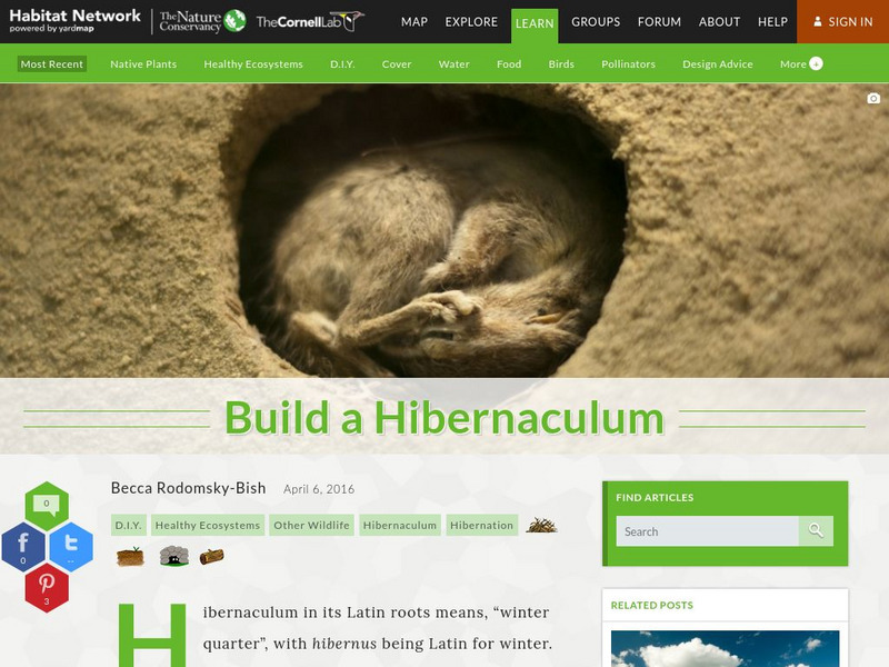 Habitat Network: Build a Hibernaculum Article Habitat Network: Build a Hibernaculum Article