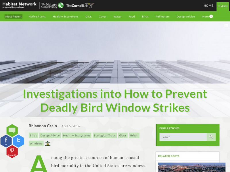 Habitat Network: Investigations Into How to Prevent Deadly Bird Window Strikes Article Habitat Network: Investigations Into How to Prevent Deadly Bird Window Strikes Article