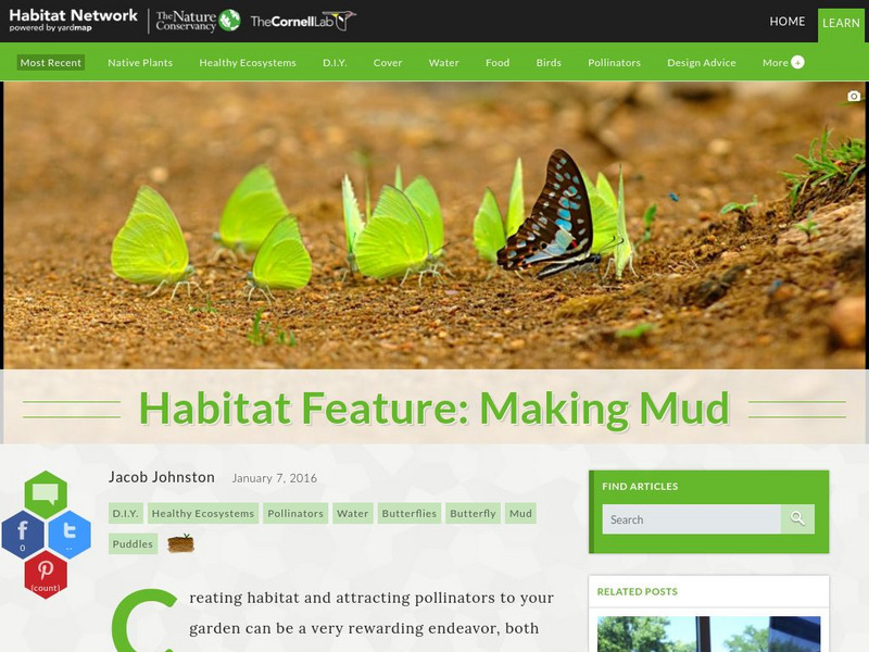 Habitat Network: Habitat Feature: Making Mud Article Habitat Network: Habitat Feature: Making Mud Article