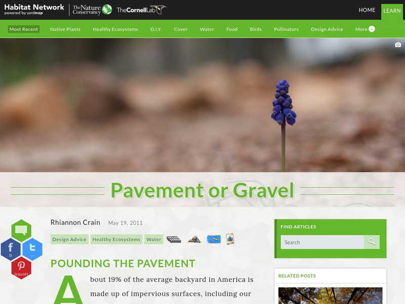 Habitat Network: Pavement or Gravel Article Habitat Network: Pavement or Gravel Article