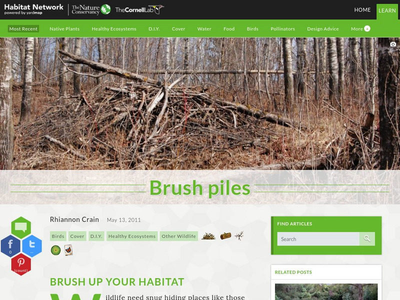 Habitat Network: Brush Piles Article Habitat Network: Brush Piles Article