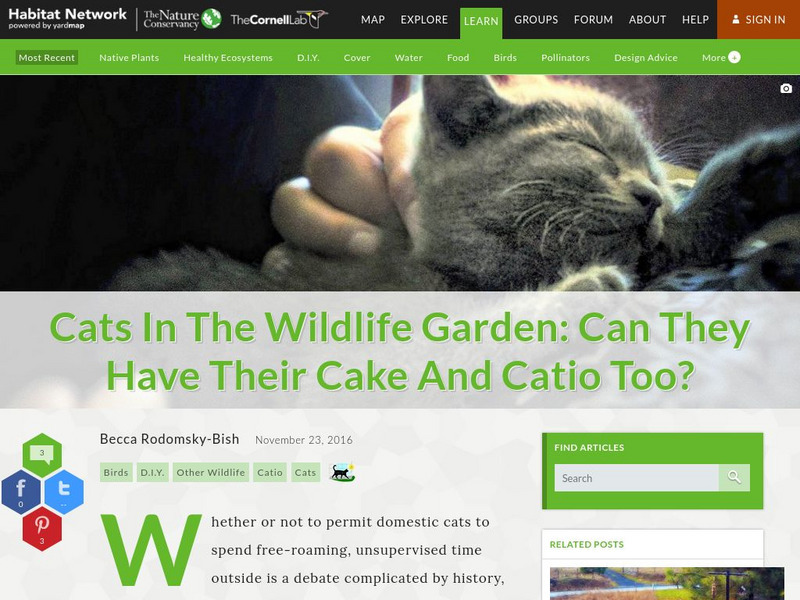 Habitat Network: Cats in the Wildlife Garden: Can They Have Cake and Catio Too? Article Habitat Network: Cats in the Wildlife Garden: Can They Have Cake and Catio Too? Article