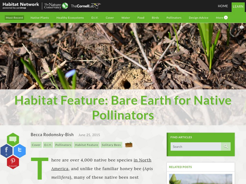 Habitat Network: Habitat Feature: Bare Earth for Native Pollinators Article Habitat Network: Habitat Feature: Bare Earth for Native Pollinators Article