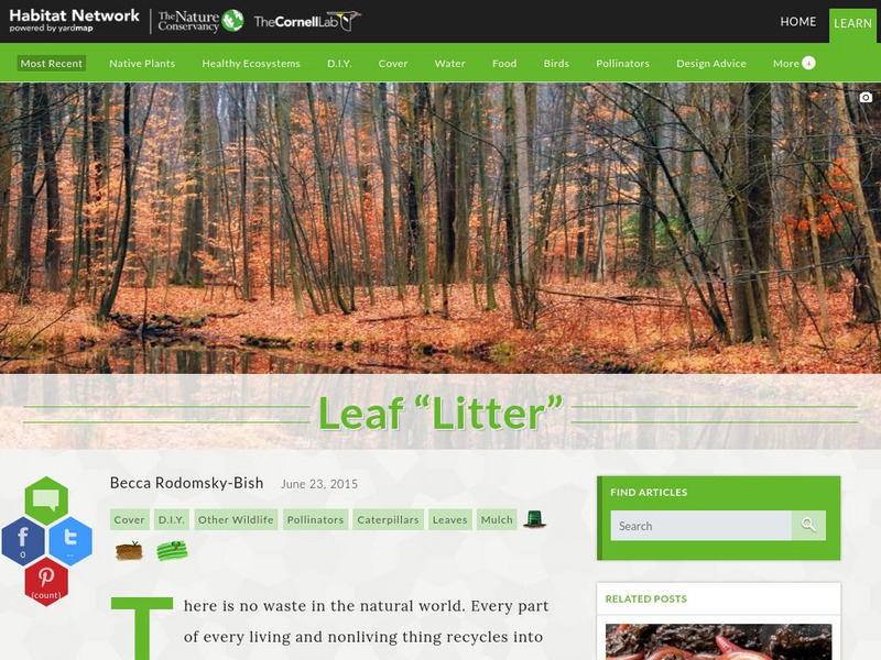 Habitat Network: Leaf Litter Article Habitat Network: Leaf Litter Article