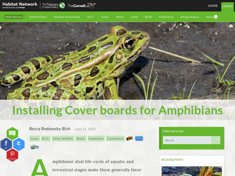 Habitat Network: Installing Cover Boards for Amphibians Article Habitat Network: Installing Cover Boards for Amphibians Article