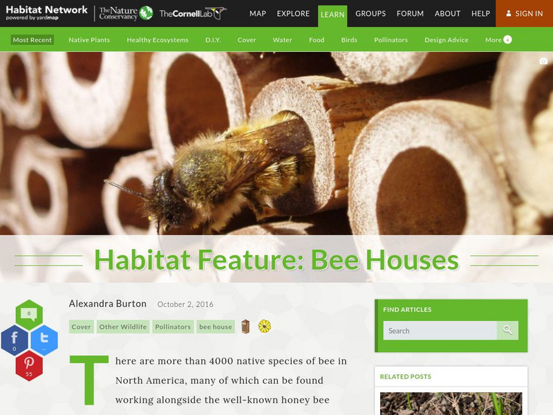 Habitat Network: Habitat Feature: Bee Houses Article Habitat Network: Habitat Feature: Bee Houses Article