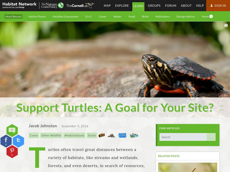Habitat Network: Support Turtles: A Goal for Your Site? Activity Habitat Network: Support Turtles: A Goal for Your Site? Activity