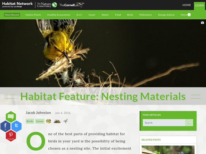 Habitat Network: Habitat Feature: Nesting Materials Article Habitat Network: Habitat Feature: Nesting Materials Article