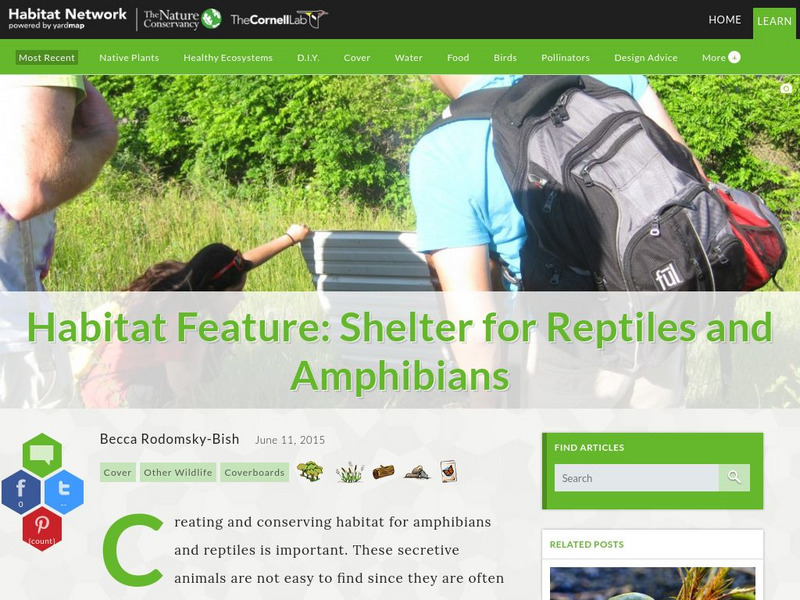 Habitat Network: Habitat Feature: Shelter for Reptiles and Amphibians Article Habitat Network: Habitat Feature: Shelter for Reptiles and Amphibians Article