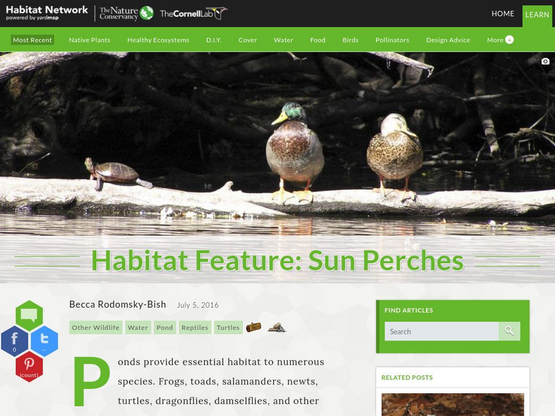 Habitat Network: Habitat Feature: Sun Perches Article Habitat Network: Habitat Feature: Sun Perches Article