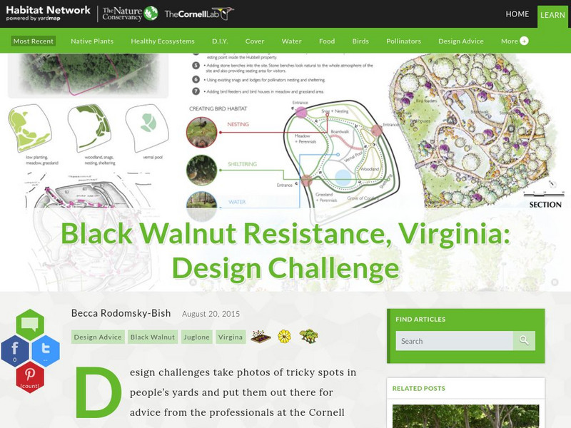 Habitat Network: Black Walnut Resistance, Virginia: Design Challenge Article Habitat Network: Black Walnut Resistance, Virginia: Design Challenge Article