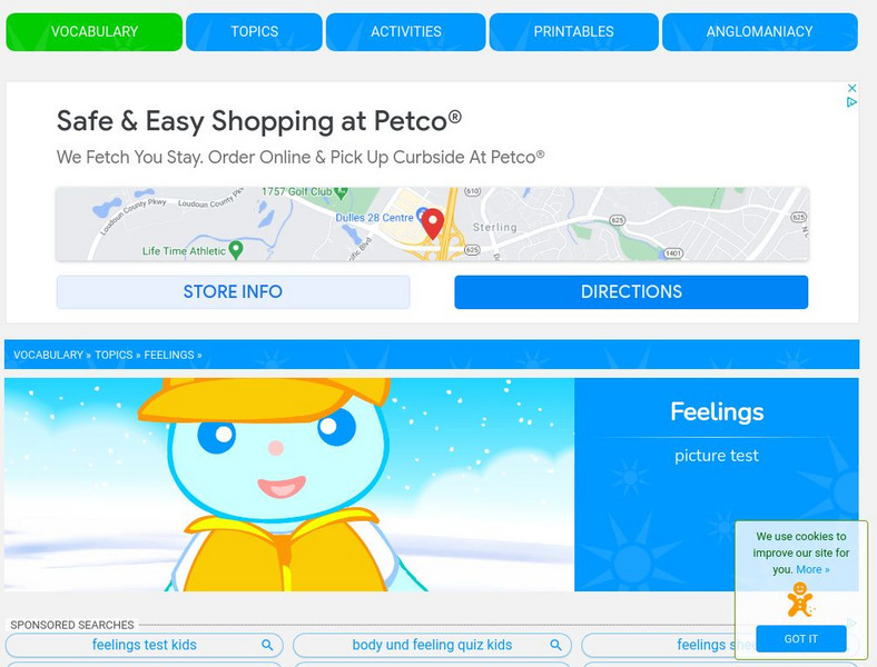 Anglomaniacy: Feelings Picture Test Interactive Anglomaniacy: Feelings Picture Test Interactive