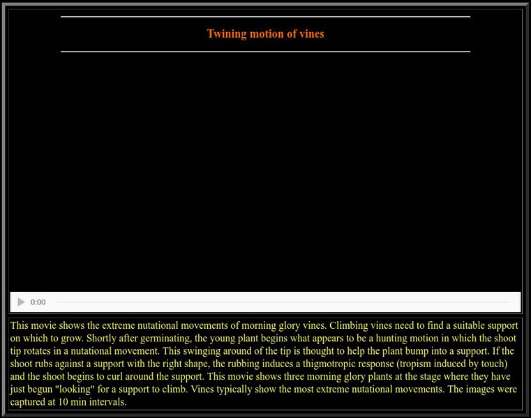 Plants in Motion: Twining Motion of Vines Instructional Video Plants in Motion: Twining Motion of Vines Instructional Video