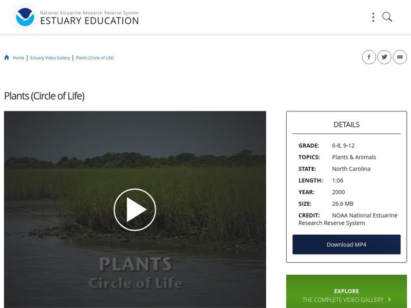 Noaa: Estuary Education: Plants (Circle of Life) Instructional Video Noaa: Estuary Education: Plants (Circle of Life) Instructional Video