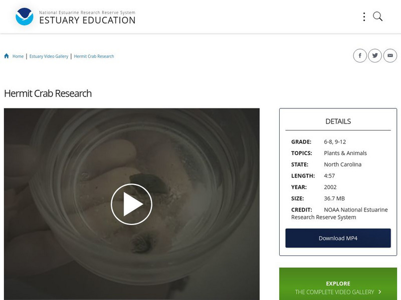 Noaa: Estuary Education: Hermit Crab Research Instructional Video Noaa: Estuary Education: Hermit Crab Research Instructional Video