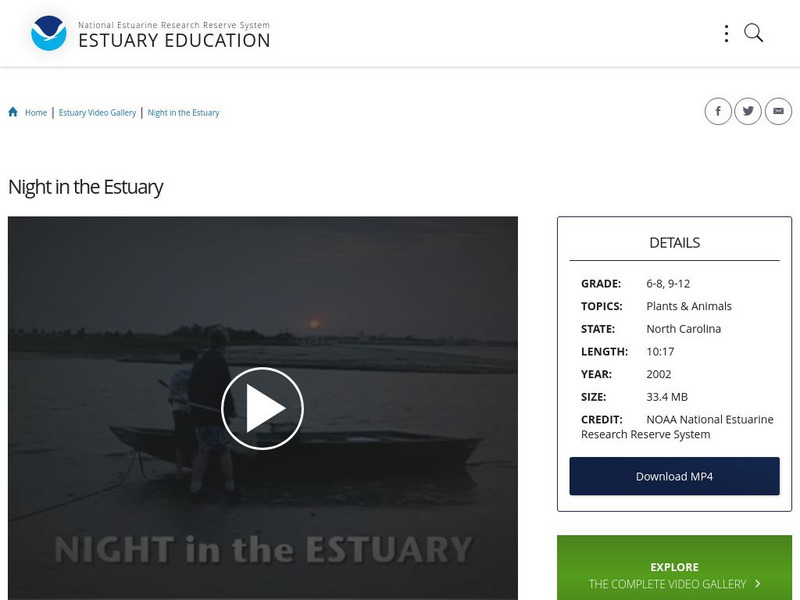 Noaa: Estuary Education: Night in the Estuary Instructional Video Noaa: Estuary Education: Night in the Estuary Instructional Video