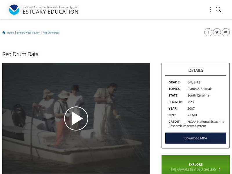 Noaa: Estuary Education: Red Drum Data Instructional Video Noaa: Estuary Education: Red Drum Data Instructional Video