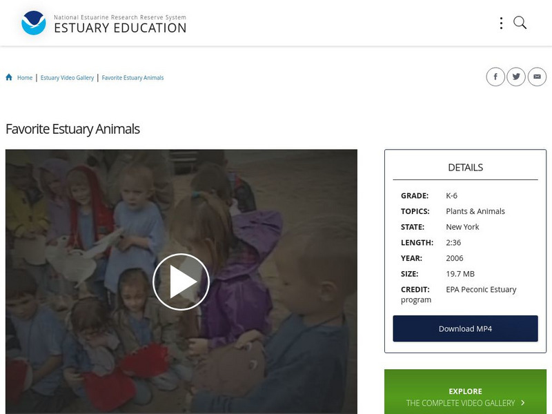 Noaa: Estuary Education: Favorite Estuary Animals Instructional Video Noaa: Estuary Education: Favorite Estuary Animals Instructional Video