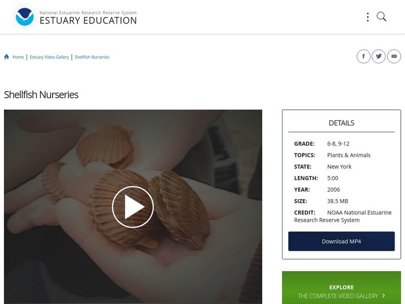 Noaa: Estuary Education: Shellfish Nurseries Instructional Video Noaa: Estuary Education: Shellfish Nurseries Instructional Video