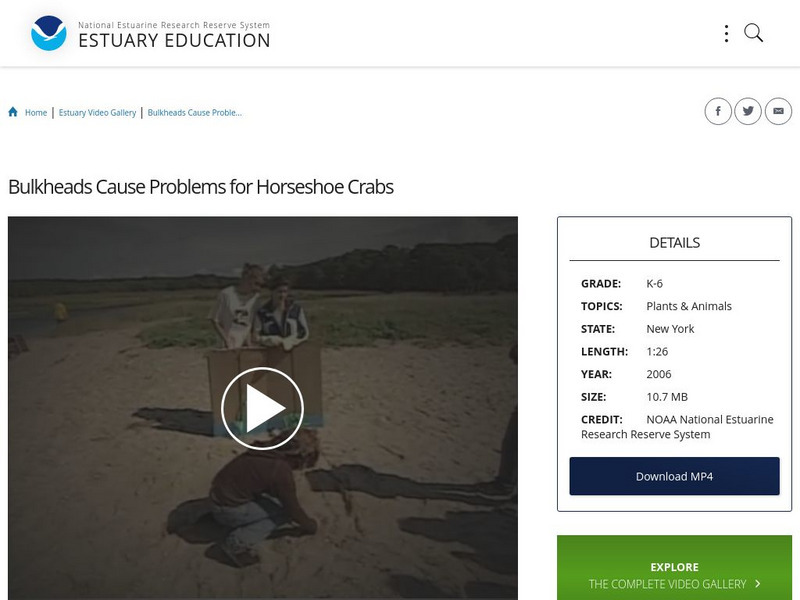 Noaa: Estuary Education: Bulkheads Cause Problems for Horseshoe Crabs Instructional Video Noaa: Estuary Education: Bulkheads Cause Problems for Horseshoe Crabs Instructional Video