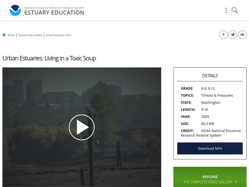 Noaa: Estuary Education: Urban Estuaries: Living in a Toxic Soup Instructional Video Noaa: Estuary Education: Urban Estuaries: Living in a Toxic Soup Instructional Video