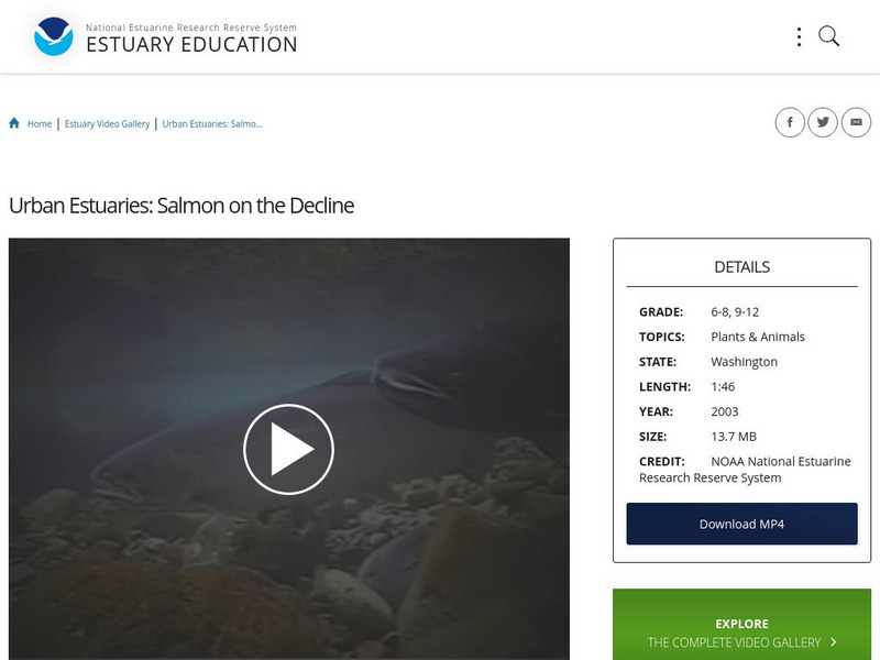 Noaa: Estuary Education: Urban Estuaries: Salmon on the Decline Instructional Video Noaa: Estuary Education: Urban Estuaries: Salmon on the Decline Instructional Video