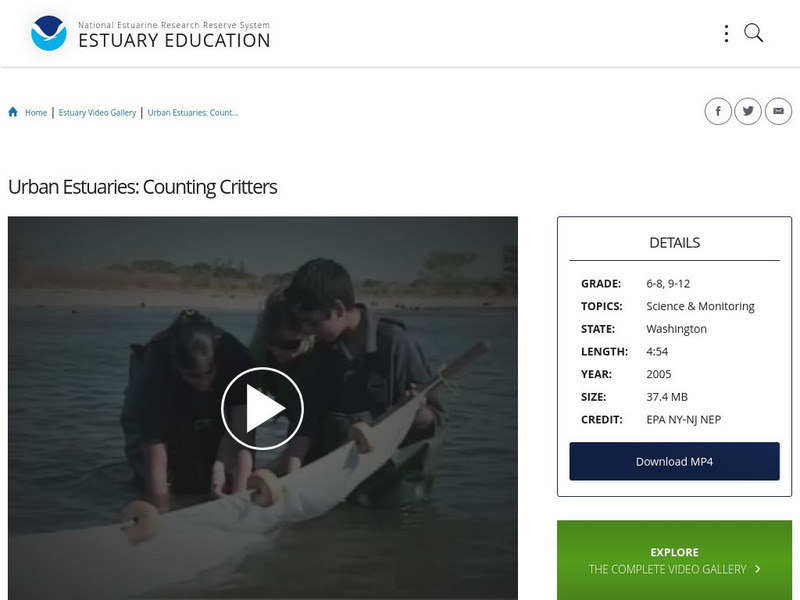 Noaa: Estuary Education: Urban Estuaries: Counting Critters Instructional Video Noaa: Estuary Education: Urban Estuaries: Counting Critters Instructional Video