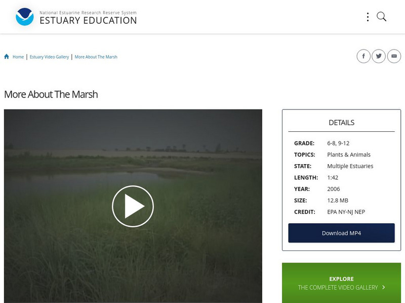 Noaa: Estuary Education: More About the Marsh Instructional Video