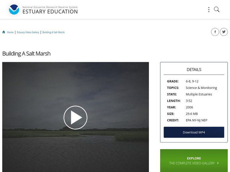 Noaa: Estuary Education: Building a Salt Marsh Instructional Video Noaa: Estuary Education: Building a Salt Marsh Instructional Video