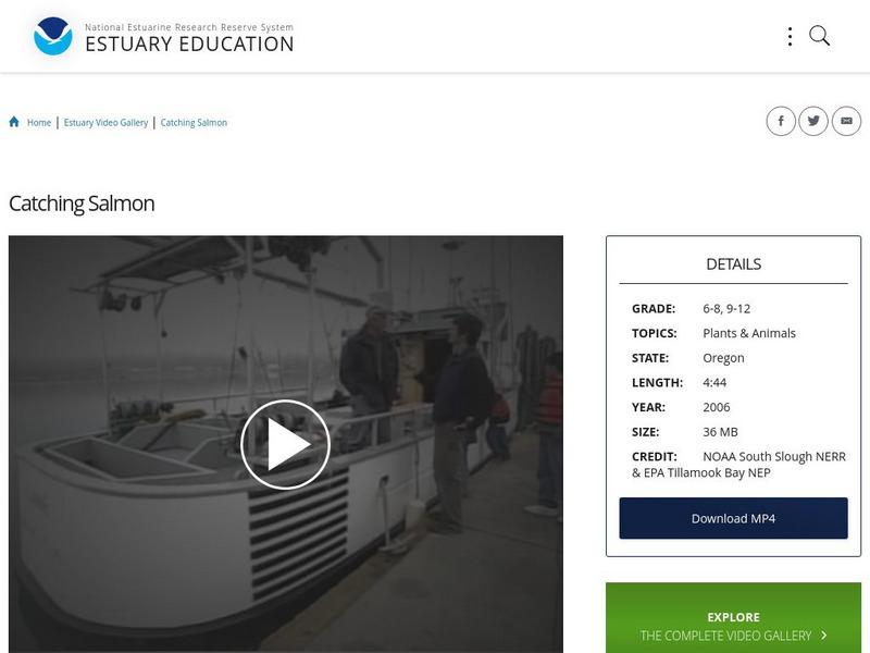 Noaa: Estuary Education: Catching Salmon Instructional Video Noaa: Estuary Education: Catching Salmon Instructional Video