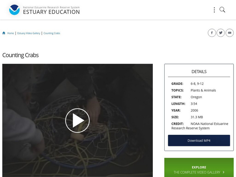 Noaa: Estuary Education: Counting Crabs Instructional Video Noaa: Estuary Education: Counting Crabs Instructional Video