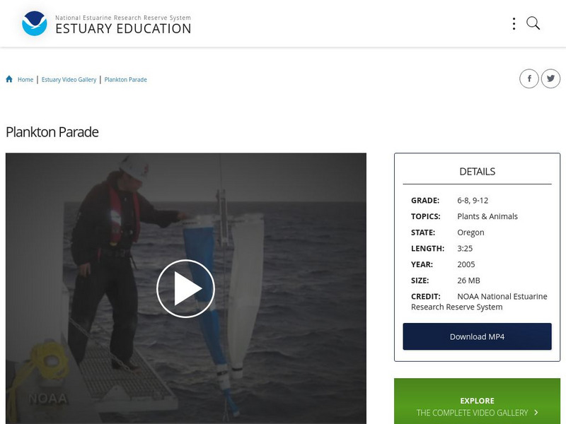 Noaa: Estuary Education: Plankton Parade Instructional Video Noaa: Estuary Education: Plankton Parade Instructional Video