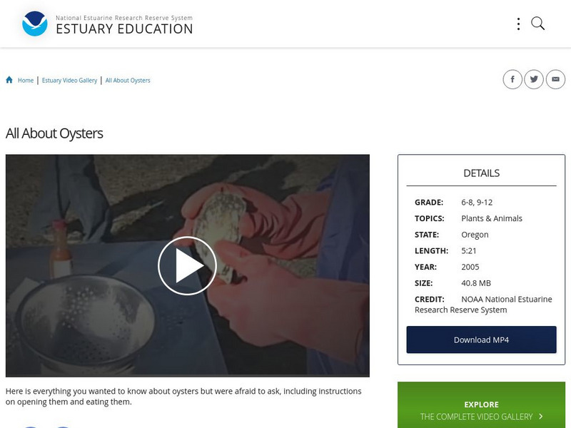 Noaa: Estuary Education: All About Oysters Instructional Video Noaa: Estuary Education: All About Oysters Instructional Video