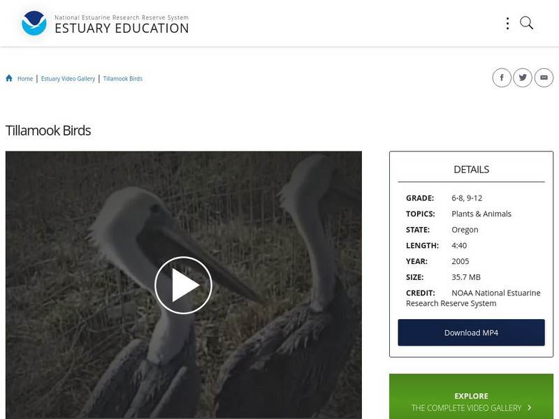 Noaa: Estuary Education: Tillamook Birds Instructional Video
