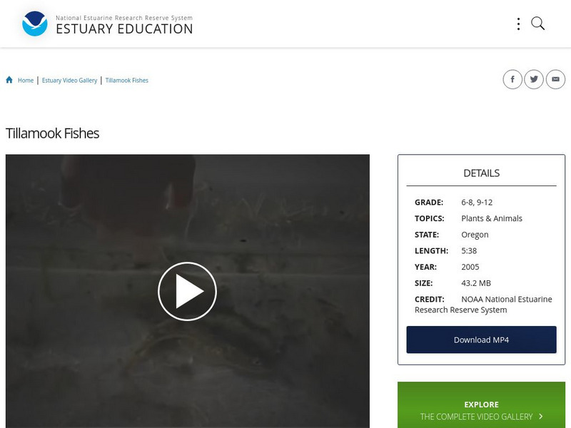 Noaa: Estuary Education: Tillamook Fishes Instructional Video Noaa: Estuary Education: Tillamook Fishes Instructional Video