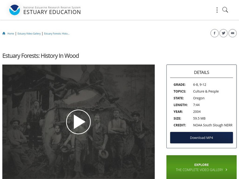 Noaa: Estuary Education: Estuary Forests: History in Wood Instructional Video Noaa: Estuary Education: Estuary Forests: History in Wood Instructional Video
