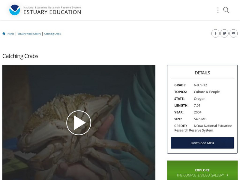 Noaa: Estuary Education: Catching Crabs Instructional Video Noaa: Estuary Education: Catching Crabs Instructional Video