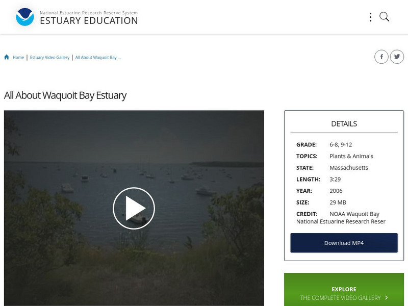 Noaa: Estuary Education: All About Waquoit Bay Estuary Instructional Video Noaa: Estuary Education: All About Waquoit Bay Estuary Instructional Video