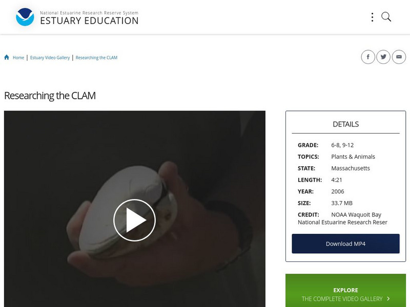 Noaa: Estuary Education: Researching the Clam Instructional Video Noaa: Estuary Education: Researching the Clam Instructional Video