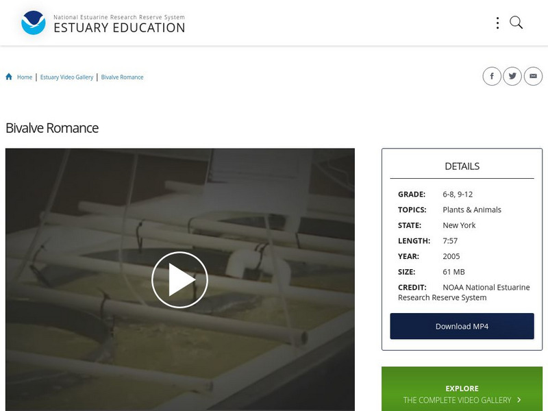 Noaa: Estuary Education: Bivalve Romance Instructional Video Noaa: Estuary Education: Bivalve Romance Instructional Video