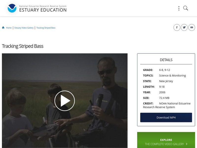 Noaa: Estuary Education: Tracking Striped Bass Instructional Video Noaa: Estuary Education: Tracking Striped Bass Instructional Video