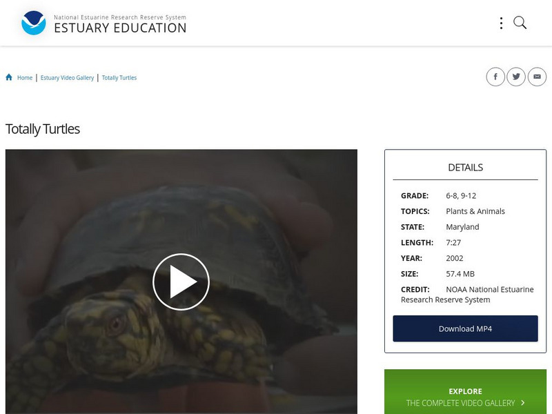 Noaa: Estuary Education: Totally Turtles Instructional Video Noaa: Estuary Education: Totally Turtles Instructional Video