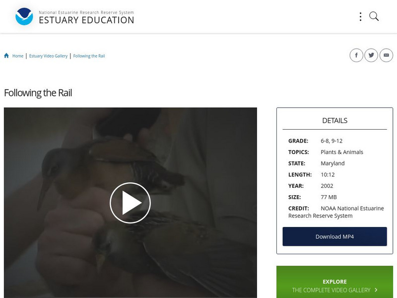 Noaa: Estuary Education: Following the Rail Instructional Video Noaa: Estuary Education: Following the Rail Instructional Video
